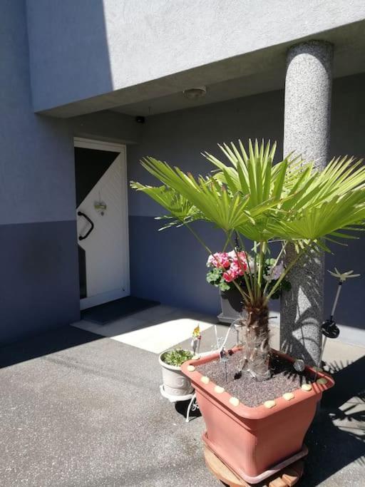 Appartement Agreable Haguenau Zewnętrze zdjęcie