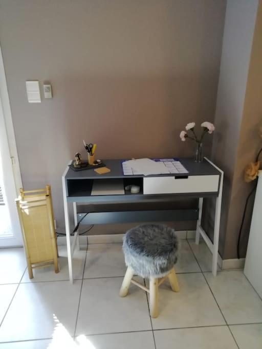 Appartement Agreable Haguenau Zewnętrze zdjęcie